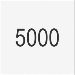 5000