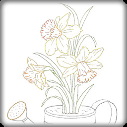 Daffodils