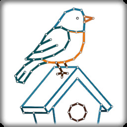 Spring Birds