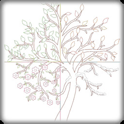 Four Seasons
