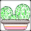 Icon for Cacti