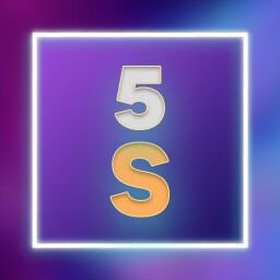 5 S's
