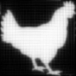 You have photographed at least five Chickens