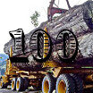 100 Logging Camps