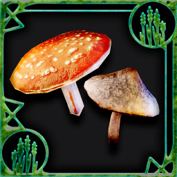 Icon for Mushroomed