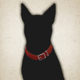 The red collar