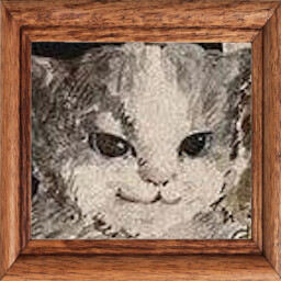 Бескрайняя гладь кота