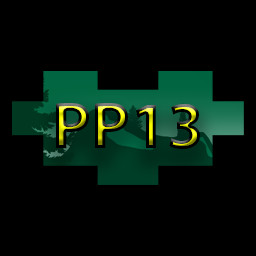 PLAY PUZZLE 13