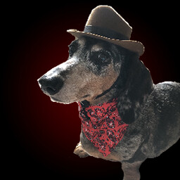 Icon for Doggy Diviner