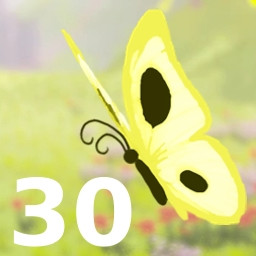 30 butterflies.