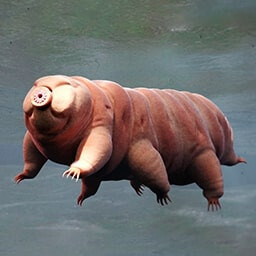 Icon for Survivor Challenge - Nature