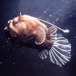 Icon for Worst to First Challenge - Nature