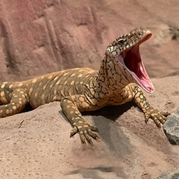 Icon for Hunters Only Challenge - Jurassic