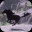 Horse and Go Seek icon