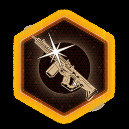 Это моя винтовка