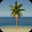 Cast Ashore Playtest icon