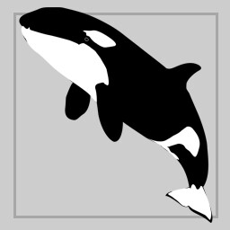 White and black whale