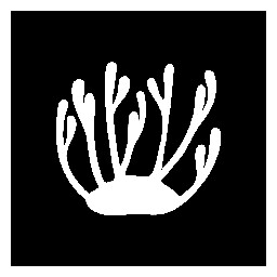 Voyage to the center of the Earth