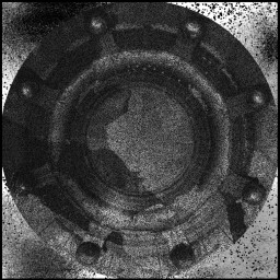 Portal region discovered