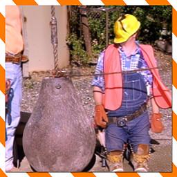 Didn't You Use To Be Taller?