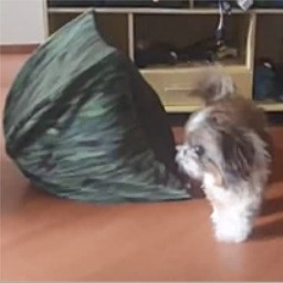 Rank A - Level 20 - Hard