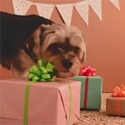 Rank A - Level 4 - Hard