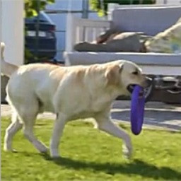 Rank A - Level 14 - Hard