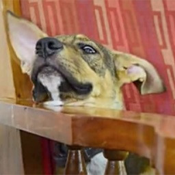 Rank A - Level 11 - Hard