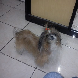 Level 20 - Completed - Hard