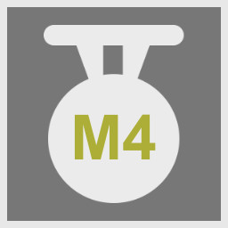 Motor Type 4 Investor