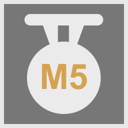 Motor Type 5 Investor