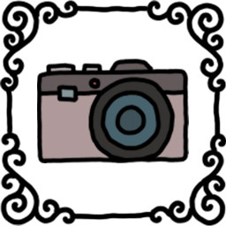 Icon for Cameras!