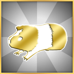 Guinea Pig