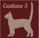 CASTIANE 3