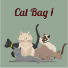 CAT BAG 1