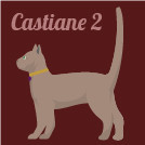 CASTIANE 2