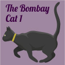 THE BOMBAY CAT 1