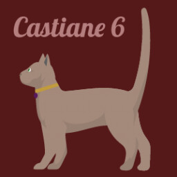 CASTIANE 6
