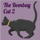 THE BOMBAY CAT 2