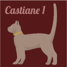 CASTIANE 1