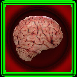 Brainwashed