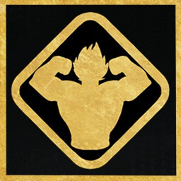End of the Beginner Phase