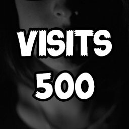 Visits 500