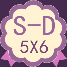 Section-D(5x6)