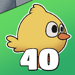 40 Hen chicks