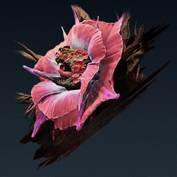 Ursa's End