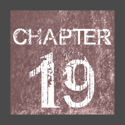 CHAPTER 19