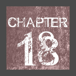 CHAPTER 18