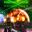 Rental Commander icon