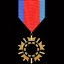 Strategic Ops Medal